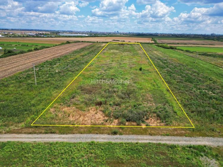 Teren Sacalaz 3,6 Ha - Pretabil PUZ Locuinte - 5