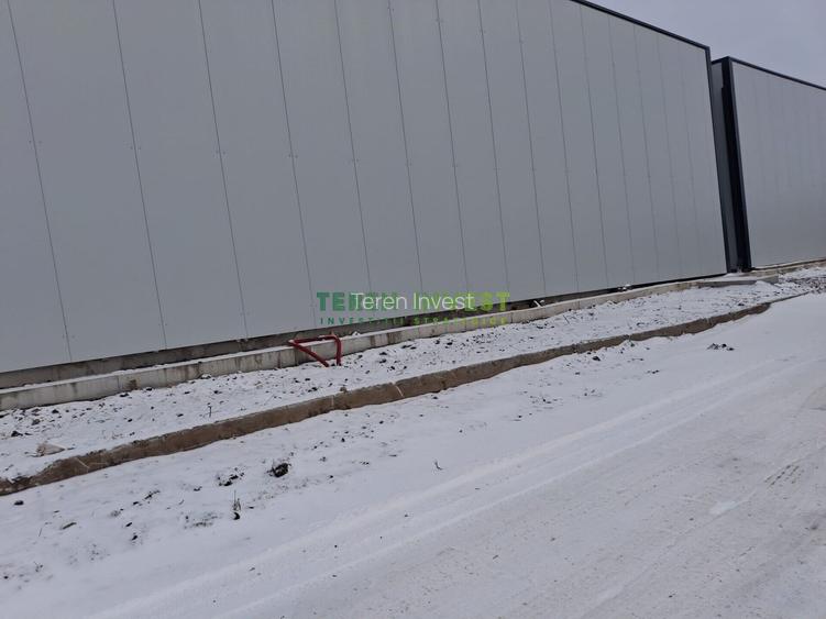 Vânzare hală depozitare - Drumul Între Tarlale - 20