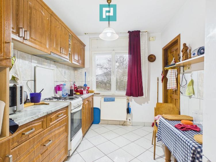 Vilă stil montan, 270 mp, teren 3000 mp - 28