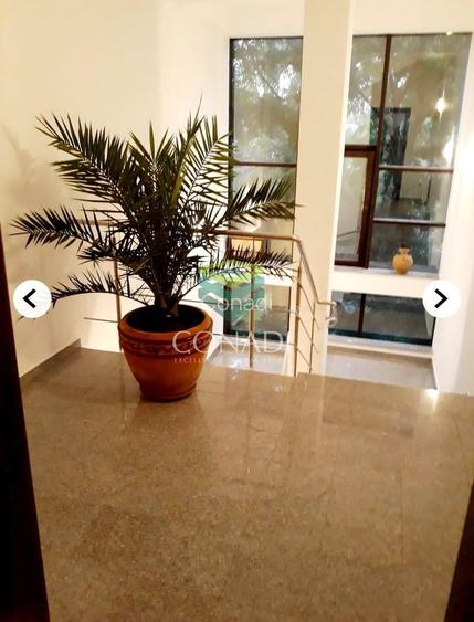 Spatiu de birouri Herastrau - 13