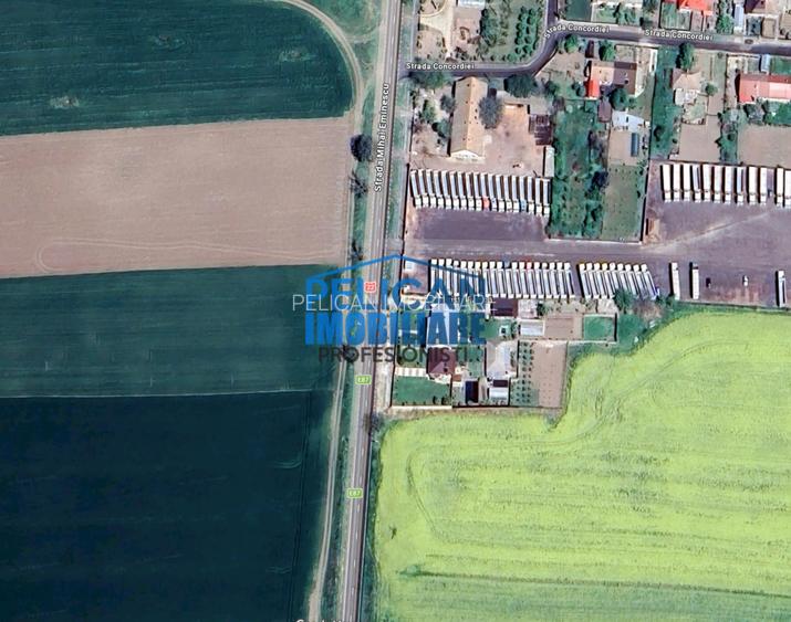 Teren intravilan M. Kogalniceanu, 1000MP, la drumul national - 10