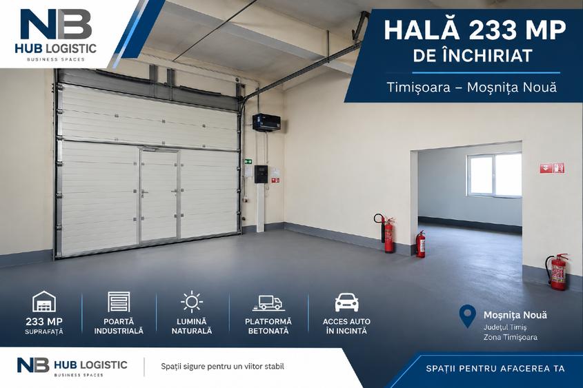 Hala 233 mp de inchiriat Timisoara Mosnita Noua
