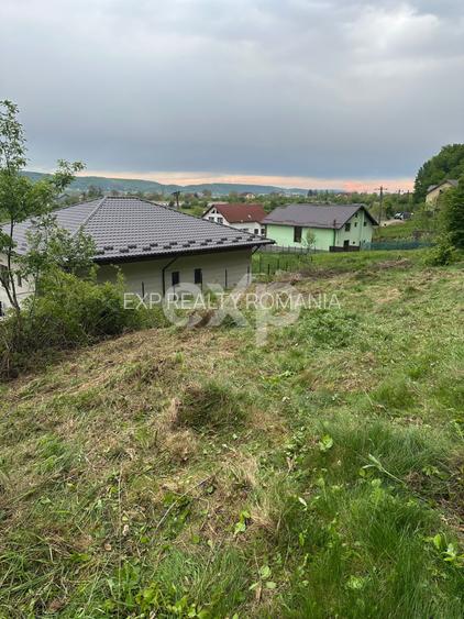 TEREN PREMIUM CU VEDERE SPECTACULOASA LA LIZIERA PADURII | BASCOV | 807 MP | - 6