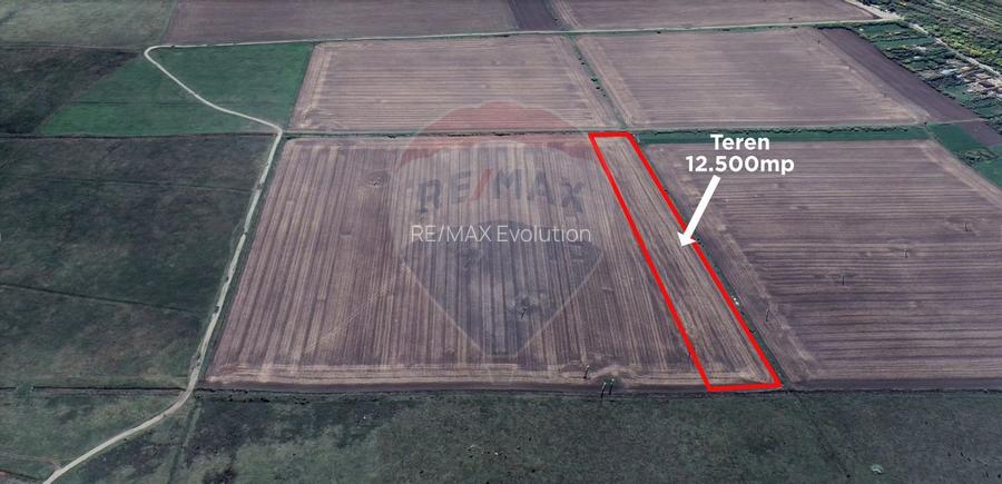 Teren 12.500 mp/Extravilan/ Dumbrava-Prahova - 7