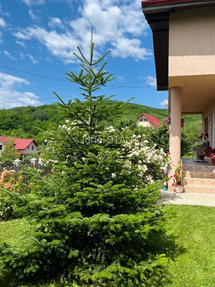 Vilă 4 camere cu teren 1.670 mp și livadă | Vălenii de Munte, Prahova - 5