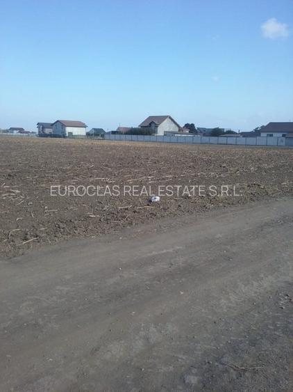 Exclusiv! Teren intravilan 6.100 mp - Cumpana - 29 euro/mp  (Cod E3) - 8