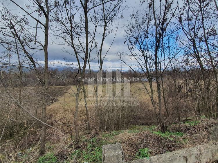 Teren extravilan | De vanzare | 1300 mp | 25 ml deschidere | Ciugud - 7