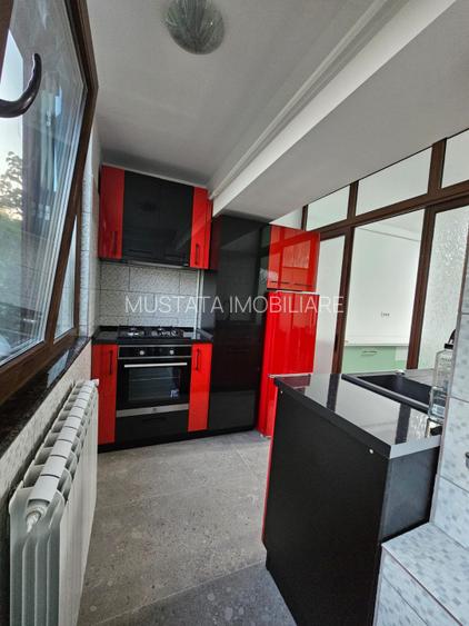 Renovat recent! Inchiriere ap. 2 camere, zona Tineretului, etaj 2. - 4