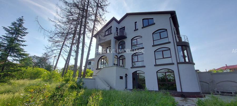Domeniu Protocol Snagov 140m la Lac  11.000 mp Teren | Rezidență sau Evenimente - 6