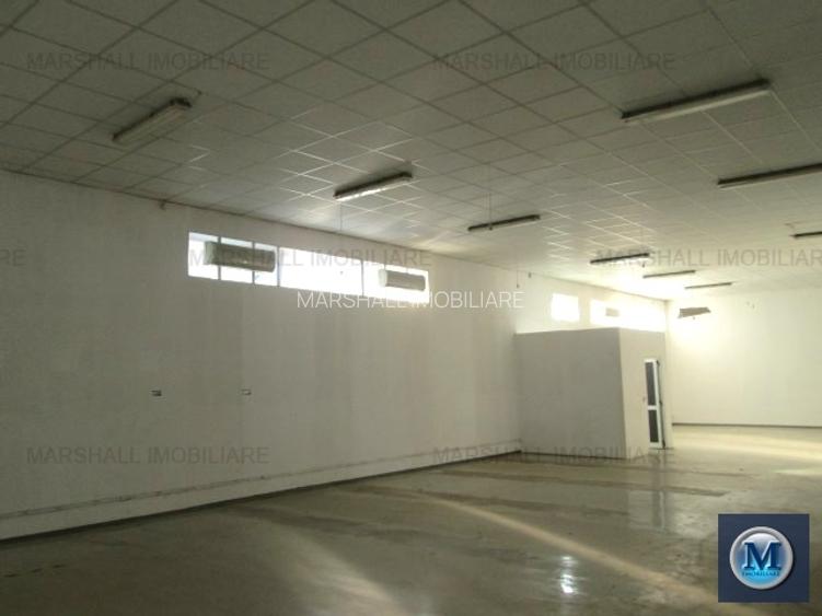 Spatiu industrial de inchiriat in Filipestii de Padure, 1000 mp #13513 - 4