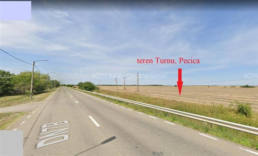 122 ari in Turnu, front 60 m la DN 7B, 15 km de Arad, 1 km de vama - 7
