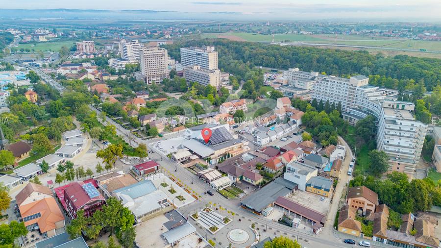 Spațiu versatil pentru business în Băile Felix - 19