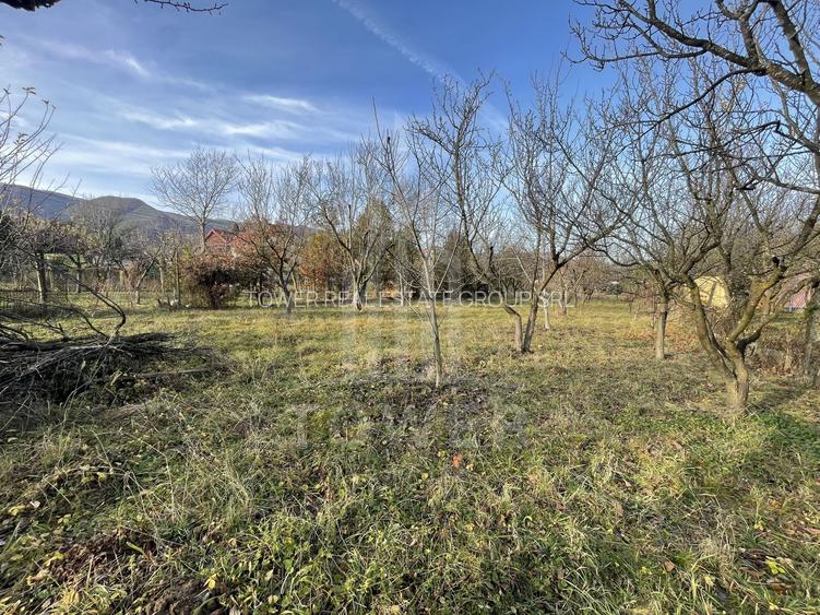 Teren intravilan 1.915 mp + cabană din lemn | Tocile – Sadu - 9