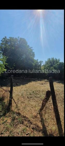 Case comuna Verbița + teren + livada pruni - 4