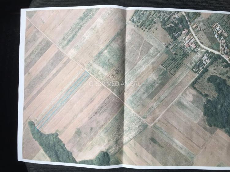 Teren 2250 mp Budesti, extravilan - 2