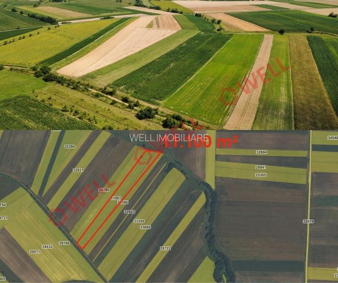 De vânzare 8 parcele de teren extravilan în apropierea localității Măgheruș! - 5