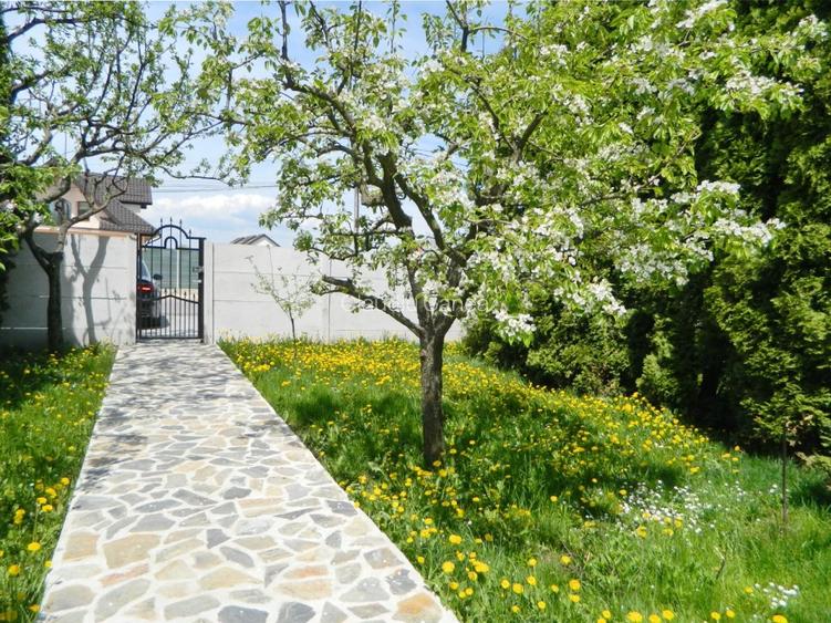 apartament in  Vila , 4 camere + teren 232 mp - 4