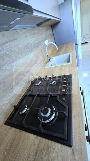 Apartament 2 Camere Bucium - 450 euro - 11