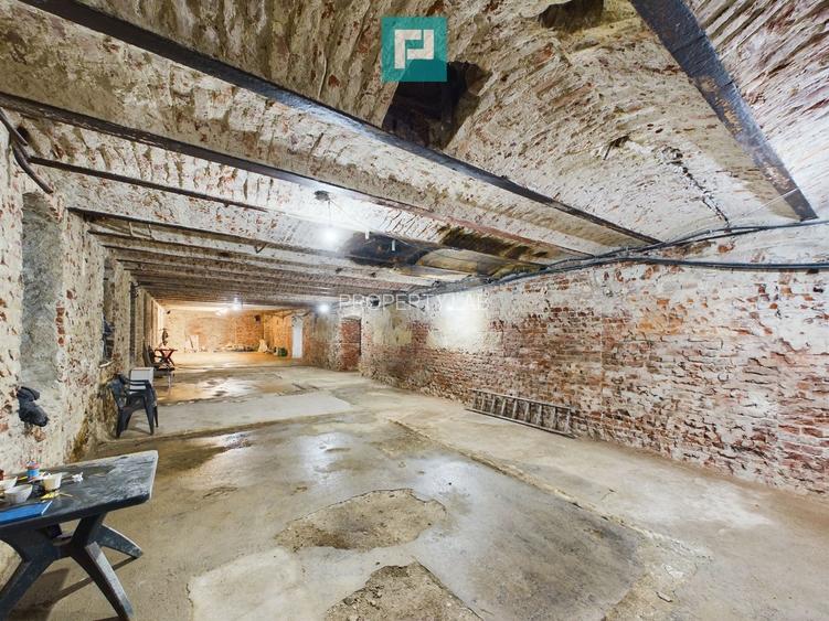 Spațiu ultracentral la demisol - 5