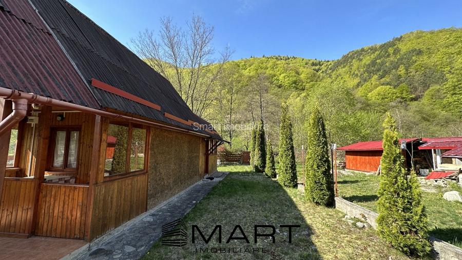 Casa cu teren langa rau Lotrioara - 4