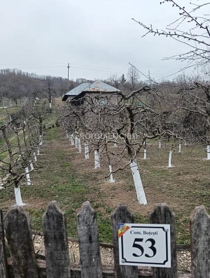 Casă de vânzare -locul unde "acasă"prinde contur  - 14