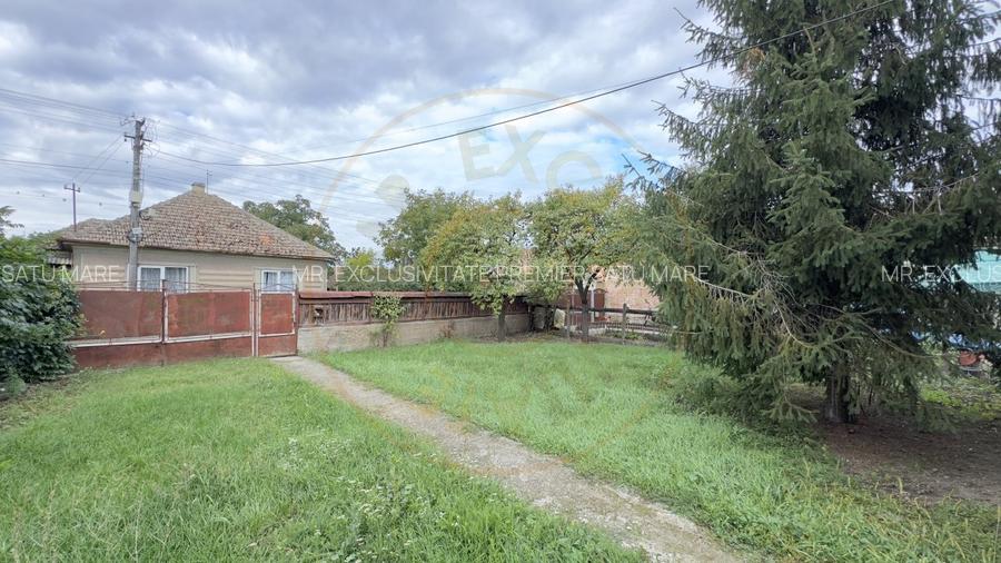 Casa 3 camere, Teren 3.263 mp, Str.Marasesti Nr.16 -Carei-Comision 0% cumparator - 9