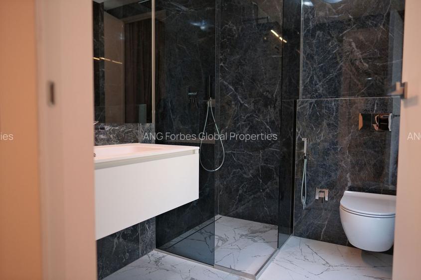 Apartament Premium cu gradina Aviatorilor - 9