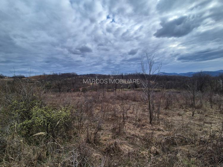 Vand 2 parcele de 5700 mp zona Iabalcea - 2