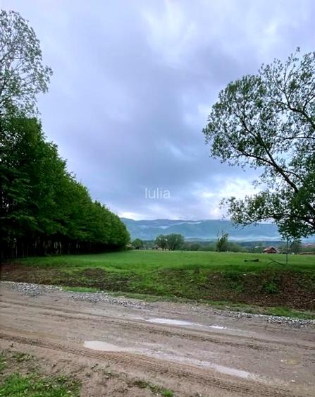 Teren intravilan in cartier Tocile comuna Sadu jud. Sibiu - 12