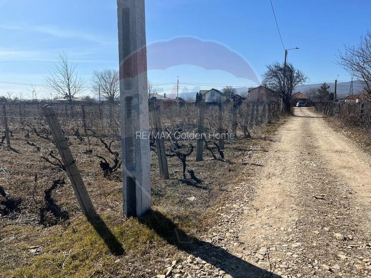 Teren intravilan Unirea Odobesti / Strada Grozesti - 5