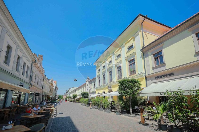 De vânzare — Spațiu comercial parter 409 mp, Vasile Alecsandri - 13