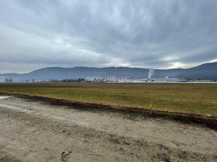 Teren Construcții intravilan de 11500 mp, în Bartolomeu - 5