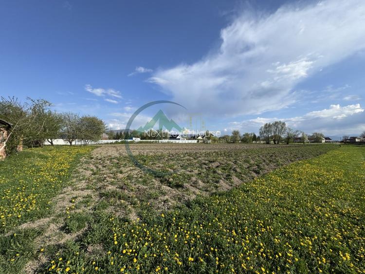 Teren 9500 mp plus Casa plus Anexe Gospodaresti - 7