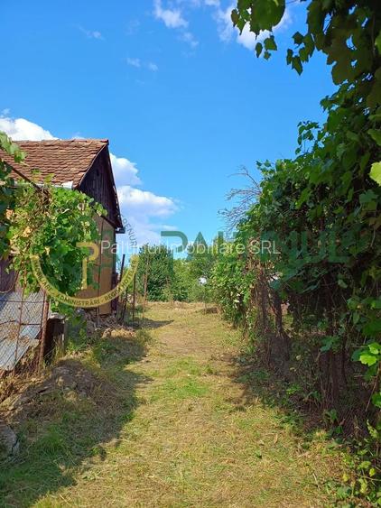 Casă cu teren 1.647 mp de vânzare – Hașag, Sibiu - 3