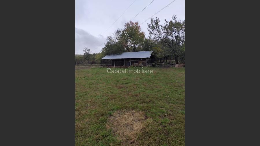 VIla de vanzare Teisani Stubeiu 11250 mp - 9