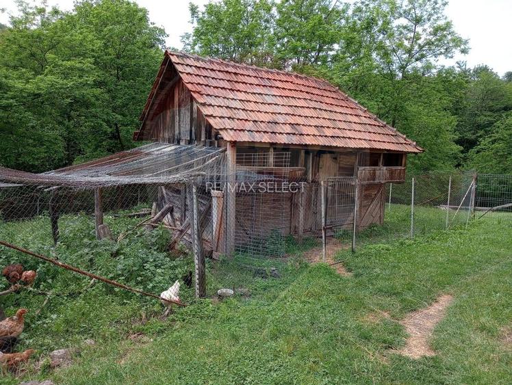 Vanzare casa  4 camere-microferma, cu panouri fotovoltaice - 29