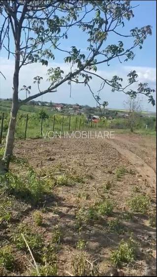 Teren de vanzare Comuna Comana-Giurgiu - 2