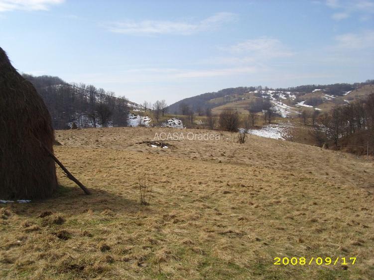 Teren intravilan Rosia, 12 000 mp, cu proiect aprobat. Comision 0. - 8