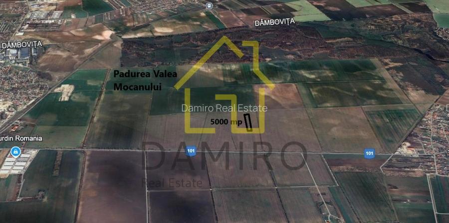 Teren Intravilan 5000 mp Buftea Tamasi - 2