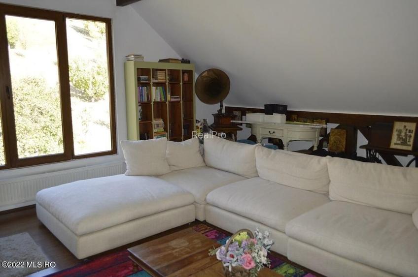 Topoloveni - Conacul Ion Mihalache, Domeniu pe 5 Hectare! - 31