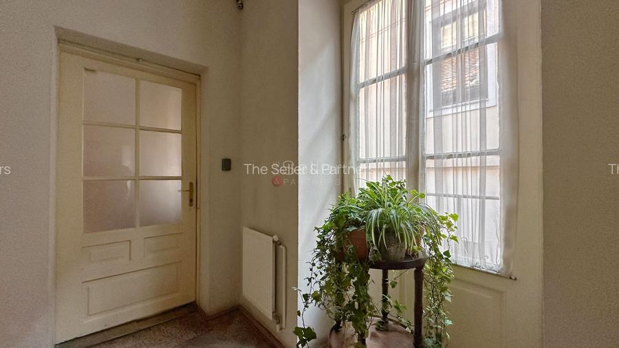 Zona Centrala Structura Generoasa - 3