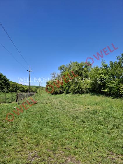 De vânzare teren intravilan de 30 000 m² (3 ha) în Reghin - 16