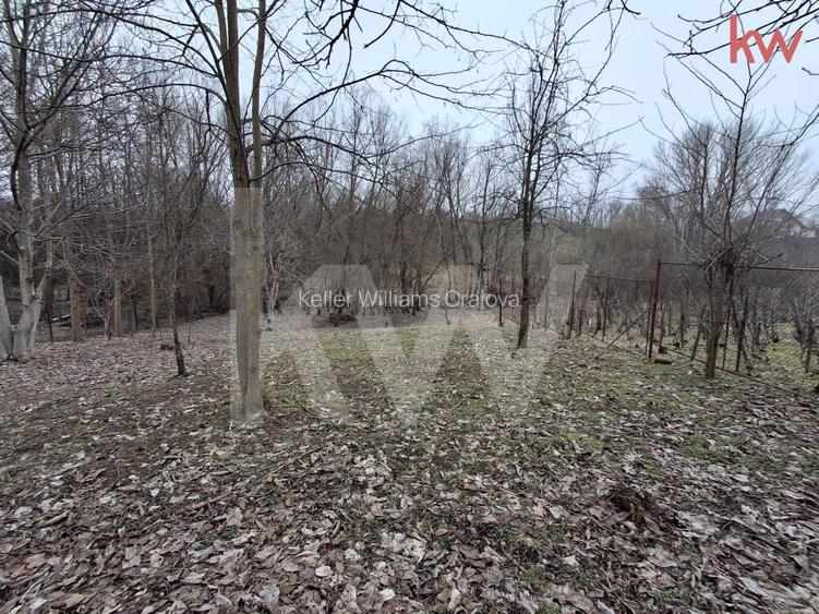 Vanzare Teren  Malu Mare * zona centrala - 2