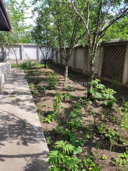 Branesti Calea Bucuresti - 49