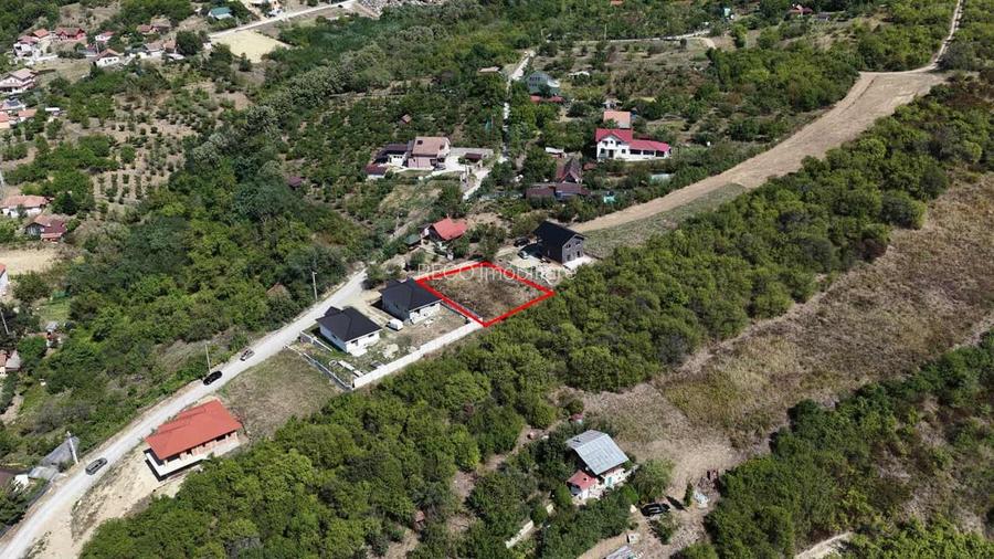 RECO Teren intravilan, Podgoria - 4