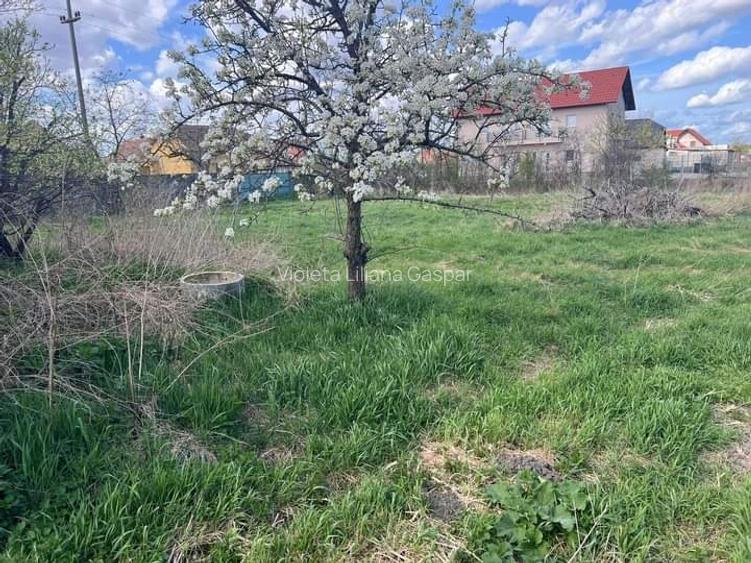 Teren intravilan direct de la proprietar  - 3