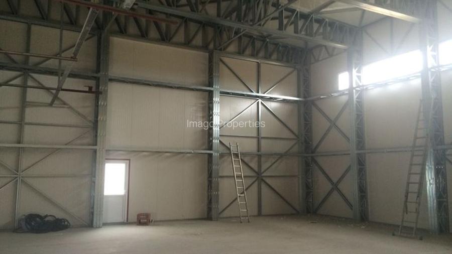 Teren intravilan Balotesti / Saftica - 10