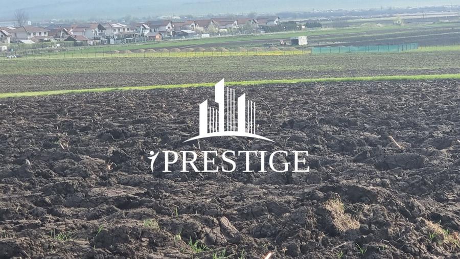TEREN DE VÂNZARE ȘURA MICĂ 10.000 MP | 2 FRONTURI STRADALE, INVESTIȚIE - 5