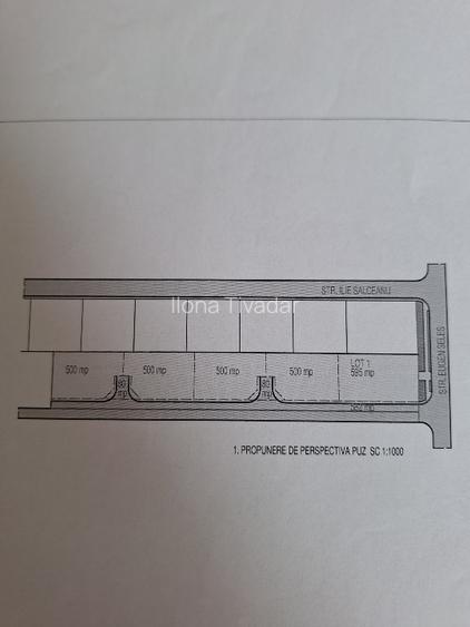Teren intravilan parcelat, PUZ, plus acces privat. - 2
