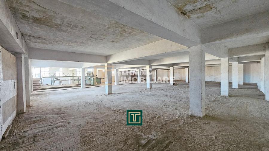 Proprietate multifunctionala - teren generos, cladire si hala in Lugoj - 19